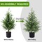 3FT Pre-Lit Artificial Norfolk Pine Christmas Tree (Green) 18"D x 18"W x 36"H